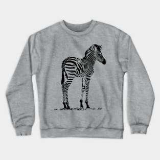 Charming Zebra Foal | African Wildlife Crewneck Sweatshirt